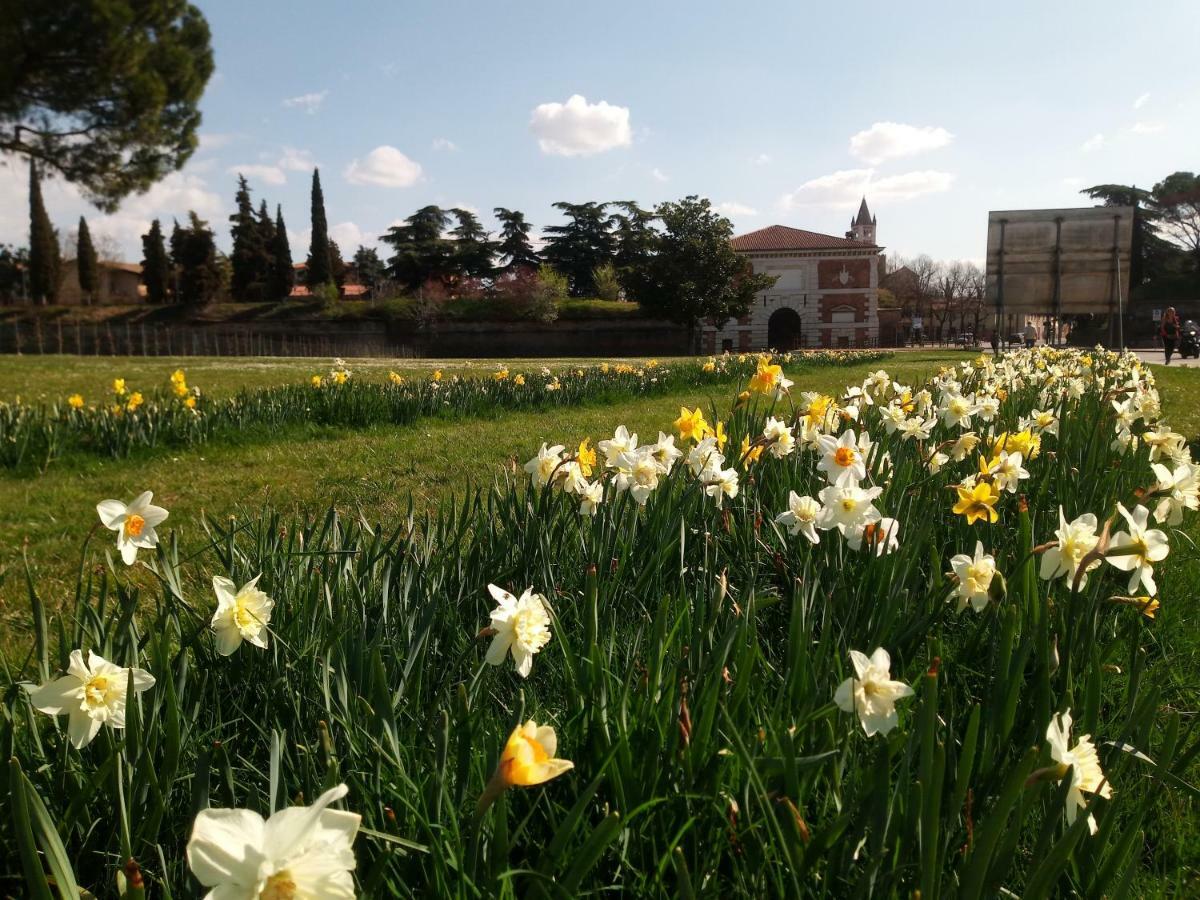 Verona Bottego Guest House Bagian luar foto